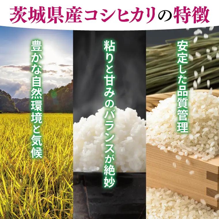 【数量限定】【令和7年産】茨城県産コシヒカリ 5kg (NQ-1)