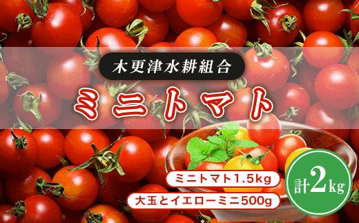 
                  ミニトマト1.5kg　大玉とイエローミニ500g 計2kg＜木更津水耕組合＞KBD001
                