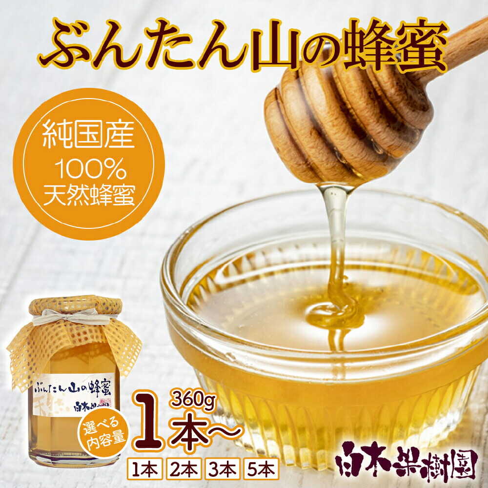 【ふるさと納税】【選べる内容量】爽やかな香り広がる100%天然蜂蜜 ぶんたん山の蜂蜜 360g 1〜5本 土佐文旦 高知 柑橘 フルーツ ぶんたん 果物 甘い 旬 産直 お取り寄せ 季節限定 高知県土佐市/白木果樹園[BQAI057]