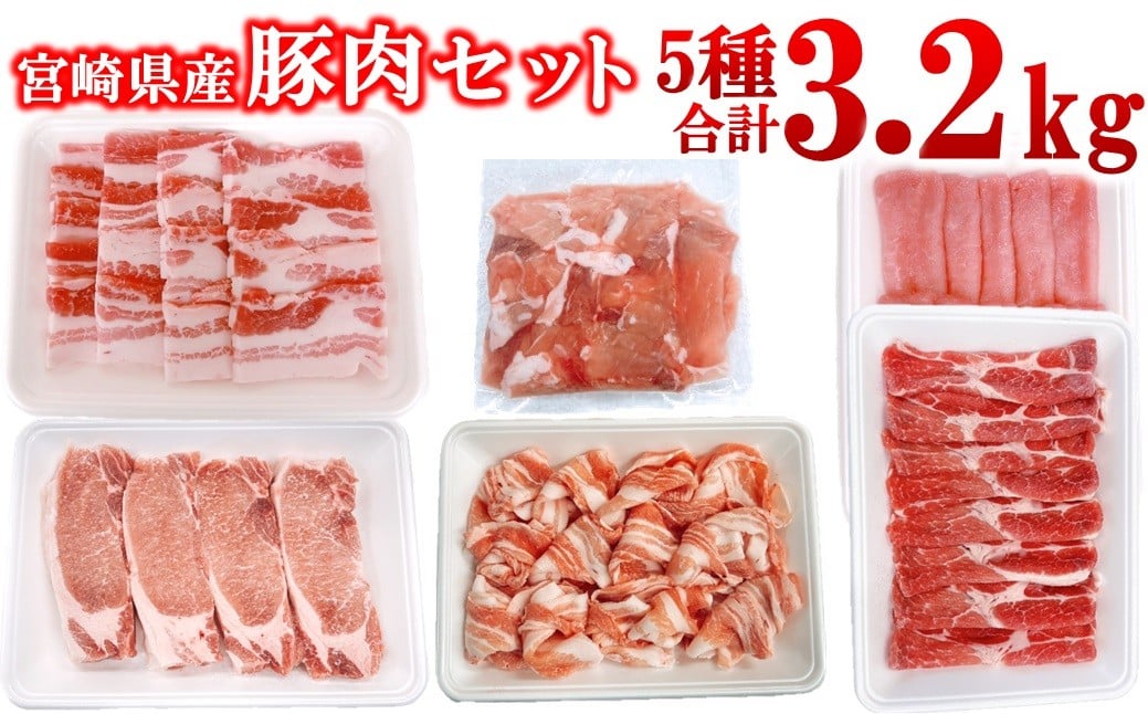 
            宮崎県産豚肉 5種 3.2kgセット 小分け 13パック 切り落とし ロース バラ＜1.6-42＞とんかつ トンカツ トンテキ ポークステーキ 焼肉 しゃぶしゃぶ　　

          
