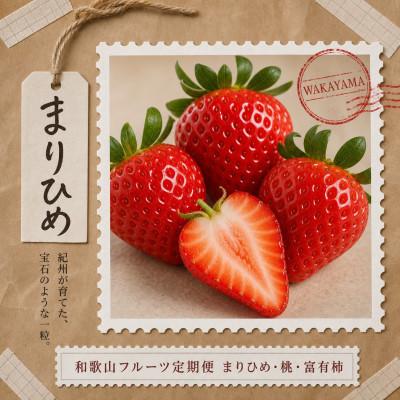 ふるさと納税 九度山町 【発送月固定定期便】紀州和歌山産旬のフルーツセット(いちご・桃・富有柿)全3回 |  | 01