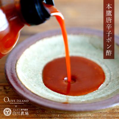 ふるさと納税 土庄町 本鷹唐辛子ポン酢4本セット(300ml×4) |  | 03