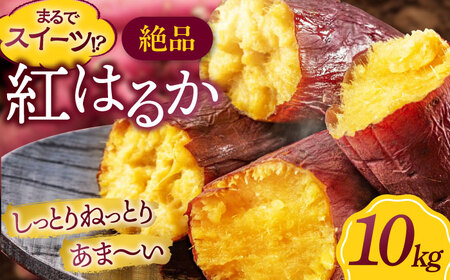 さつまいも 10kg（紅はるか）さつまいも[AGAP021]