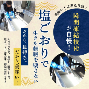 まぐろ 【翌々営業日発送・訳あり】和歌山の天然まぐろ 冷凍 計600g【scp002C】