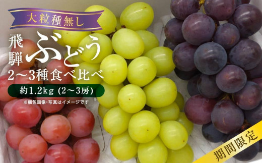 
                  【先行予約 9月中旬～11月中旬発送】山本果樹園 季節の大粒種無しぶどう 詰め合わせ 約1.2kg（2房～3房）|  果物 フルーツ おいしい ぶどう 種なし 飛騨高山 山本果樹園 MA001
                