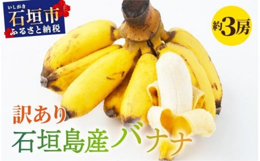 ＜訳あり＞ 大満足！石垣島産バナナ3房 ＜2026年6～10月発送＞ KP-022