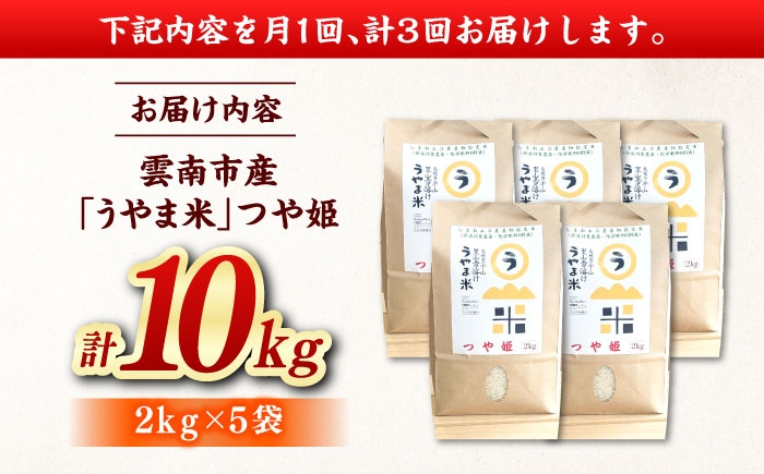 新米 つや姫 令和8年産 2026年産 白米 定期便