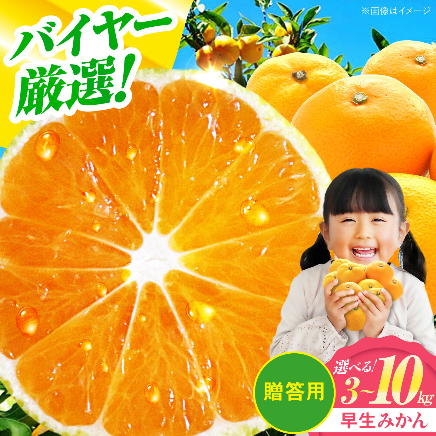 【ふるさと納税】【贈答用】【2026年11月下旬から順次発送】【選べる容量】 早生 みかん 3kg ～ 5kg 大洲市/有限会社西山青果[AGAR008] 先行予約 蜜柑 温州ミカン 温州みかん 果物 くだもの 愛媛県産 大洲市産 おすすめ 人気 お取り寄せ 送料無料 贈答 ギフト