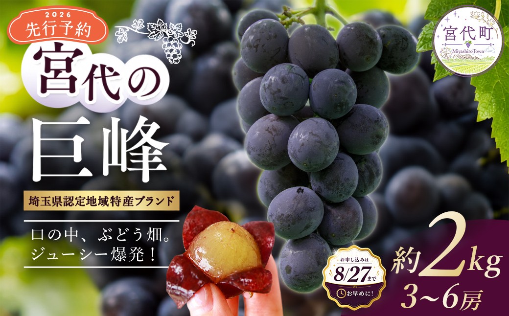 メイン商品画像（巨峰アップ・タイトル）先行予約宮代の巨峰約2kg3〜6房埼玉県宮代町産地域特産ブランド濃厚な大粒黒ぶどう