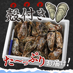 【2026年2月下旬発送】宮原水産 かき 殻付き 40～45個 ku005-013-02-3-25