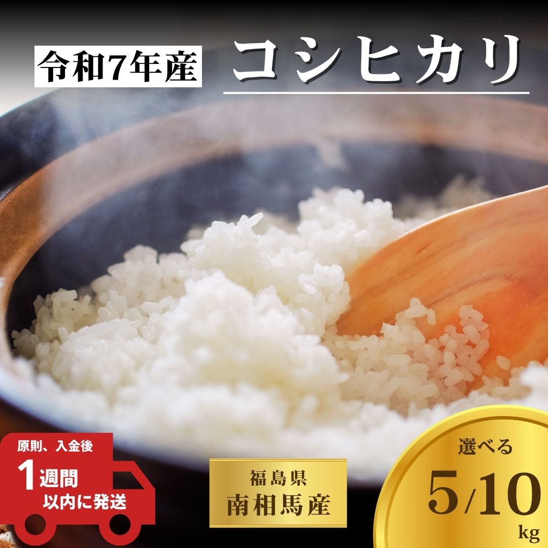 【ふるさと納税】【令和6年産】 福島県産 コシヒカリ 白米 5kg / 10kg｜ こしひかり 福島 福島産 精米 南相馬産 令和6年産米 星忠雄商店 星米店 cv001