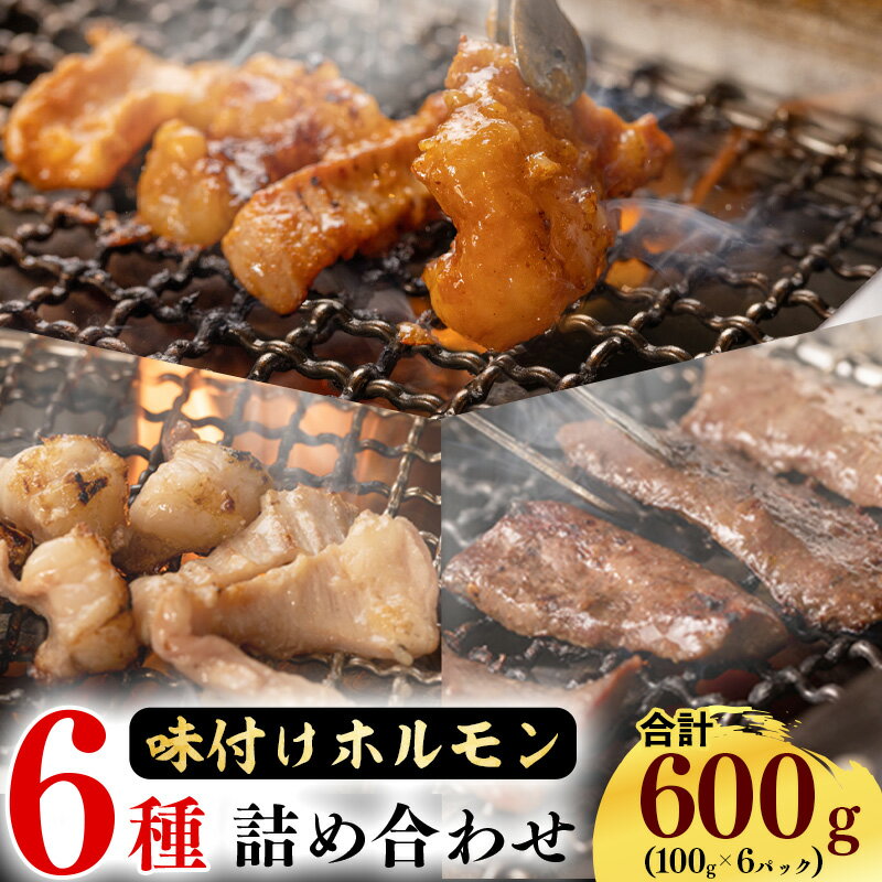 【ふるさと納税】6種類の詰め合わせ《小分け》牛ホルモン 100g×6パック ／ ホルモン ハツ マルチョウ シマチョウ ショウチョウ テッチャン 国産 お取り寄せ 個包装 味つき 食べ比べ 便利 小分け 焼肉 おつまみ 牛肉 山形県 送料無料