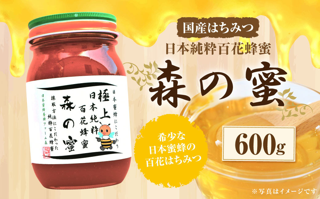 【国産はちみつ】 日本純粋百花蜂蜜 「森の蜜」 600g×1本 化粧箱入り