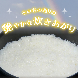 令和7年虹のきらめき10kg[令和7年 米 白米 虹のきらめき お米  特別栽培米 精米 10kg 大粒 食感  お弁当 おにぎり たっちゃん 三重県]