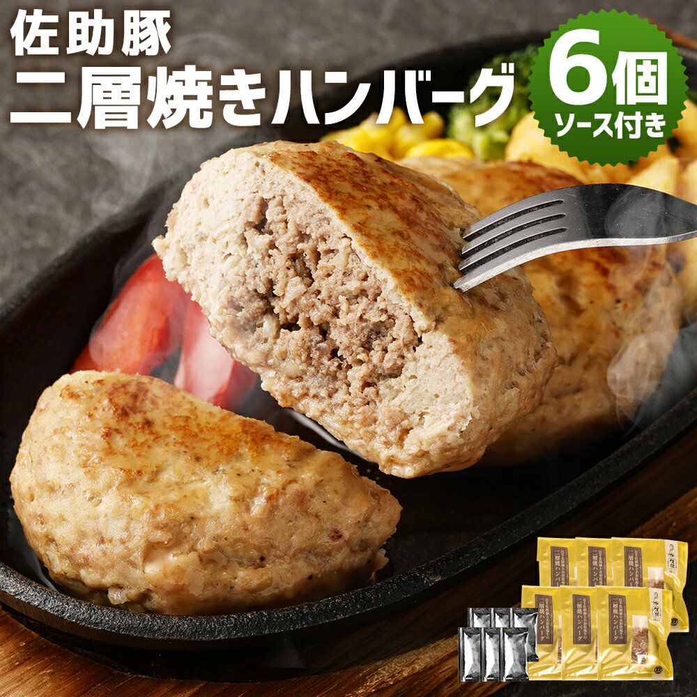【ふるさと納税】佐助豚 二層焼きハンバーグセット ソース付き 6個 合計600g 佐助豚 岩手 ハンバーグ お肉 肉 牛肉 豚肉 和牛 惣菜 冷凍 岩手県産 国産 送料無料