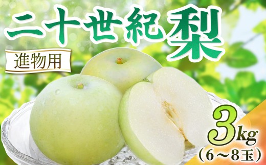 二十世紀梨【進物】3kg（岸田秀果園） 鳥取 梨 果物 フルーツ 和梨 二十世紀梨 20世紀梨 人気 甘い 進物 贈答用