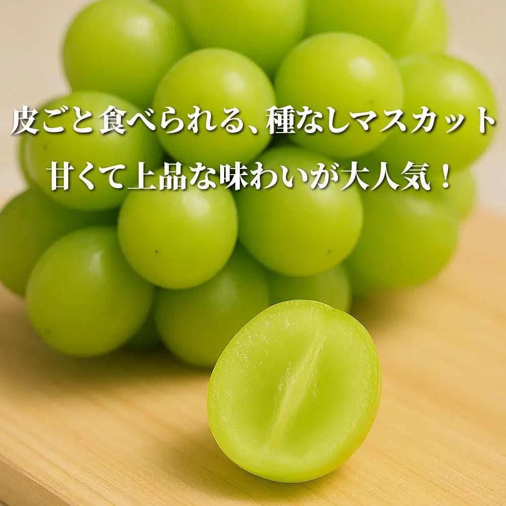 【2026年先行予約】［露地］岡山県産シャインマスカット 1.4kg（２房入）
