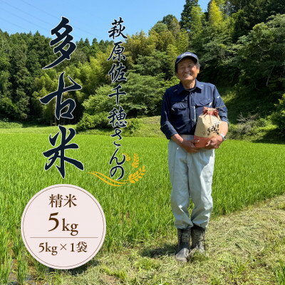 【ふるさと納税】多古米セレクション　萩原佐千穂さんの多古米コシヒカリ　精米5kg　令和7年産【配送不可地域：離島】【1654400】