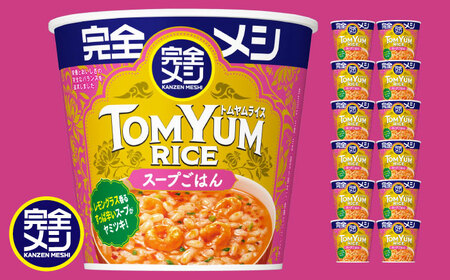 完全メシ トムヤムライス 2ケース 計12食 [BIBI029] 日清