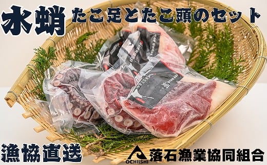 F-20004 【北海道根室産】水たこ足2本、たこ頭1切