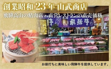 飛騨牛食べ比べセット（すき焼き・焼肉用）定期便【3月・6月・9月・12月発送】 | 和牛 ブランド牛 牛肉 ロース もも すき焼き 焼肉 セット 肉 お取り寄せ ギフト 飛騨高山 山武商店 LZ102