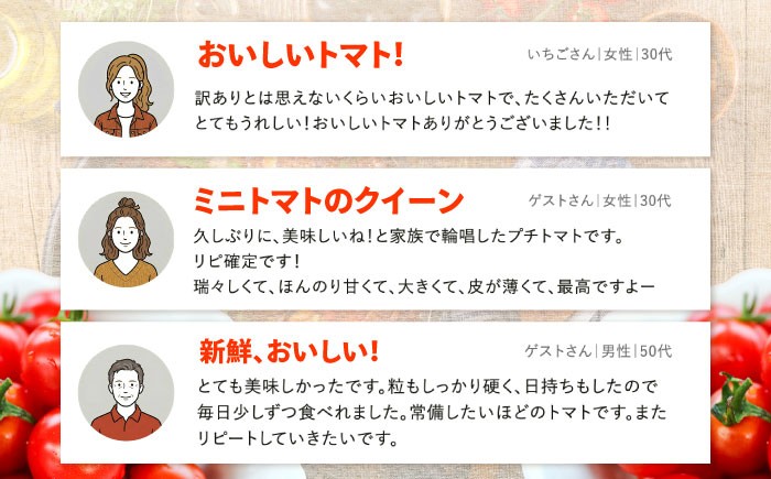 ミニ トマト 訳あり 3kg