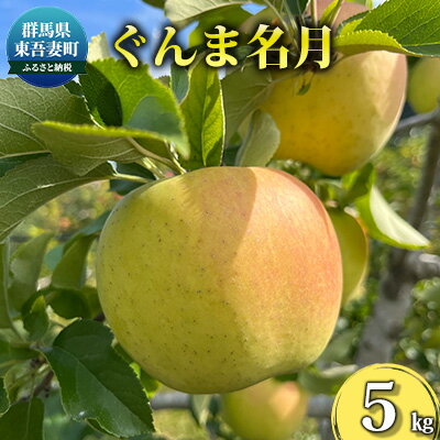 【ふるさと納税】【東吾妻町産】ぐんま名月 5kg りんご リンゴ フルーツ 果物 くだもの アップル 旬 群馬 めいげつ 東吾妻町 果物類 林檎 　お届け：2025年11月25日～2025年12月20日