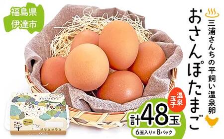 三浦さんちの平飼い温泉玉子 おさんぽたまご 計48玉 伊達市 福島県 国産 養鶏場直送 卵 たまご 玉子 鶏卵 温泉たまご F20C-951