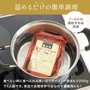 丹波ささやま牛　ビーフカレー(中辛)　【ポスト投函でお届け】   レトルトカレー
