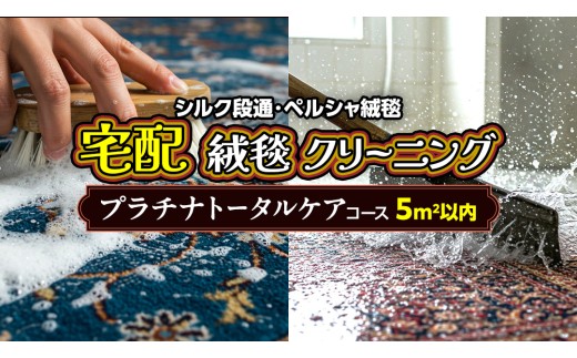 【シルク段通・ペルシャ絨毯】宅配 絨毯 クリーニング チケット │ プラチナトータルケアコース（5平米以内）約200cm×250cm 宅配 クリーニング 洗濯 洗浄 清潔 じゅうたん ラグ カーペット 丸洗い マット ニオイ対策 大掃除 ダニ 対策 敷物