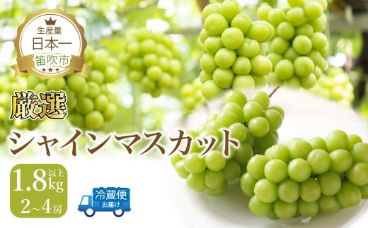 【2026年発送★先行予約】厳選シャインマスカット 1.8kg以上2～4房入り 111-016-26y