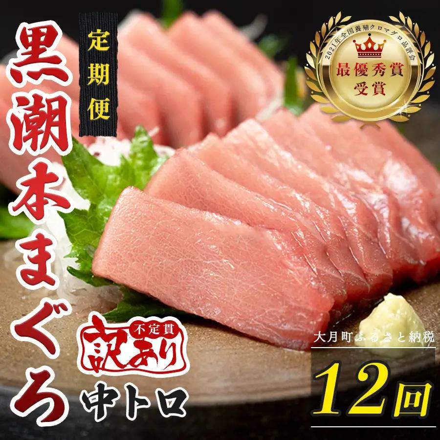 訳あり 不定貫 定期便 12回 高知県産 本マグロ 中トロ 養殖 120g (PT0080_0464)