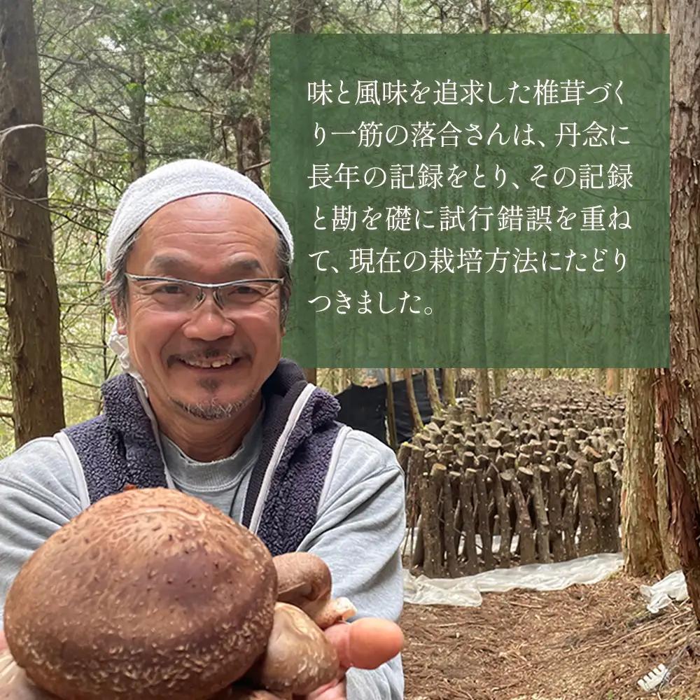 農林水産大臣賞 受賞 槻木 大葉厚肉 乾燥椎茸 205g 026-0025