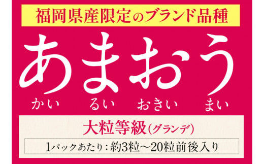 ★2025年出荷分★【先行予約】いちご あまおう 1620g (約270g×6パック) 苺 【着日指定不可】《3月中旬-4月末頃出荷予定》 イチゴ 果物 フルーツ  ---fn_ckrama_bc3_