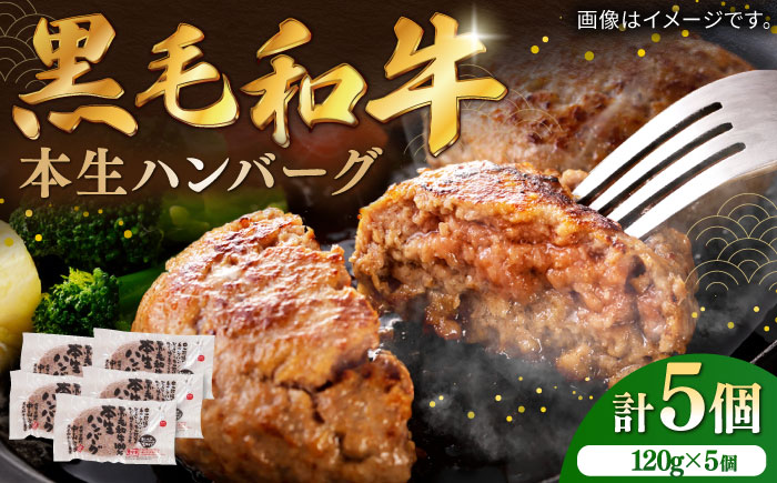 国産黒毛和牛本生ハンバーグ 計600g（120g×5個）/ ハンバーグ 冷凍 小分け 簡単調理 和牛 / 佐賀県 / 株式会社中山牧場 [41AOCW004]