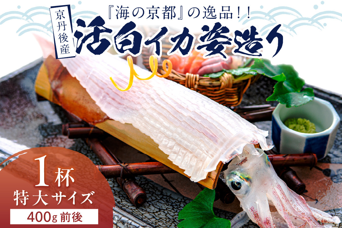 
            【先行予約】京丹後産『海の京都』の逸品！！　活白イカ姿造り（クリスタル白いか）特大サイズ 1杯（400g前後）（2025年6月上旬～発送）　YK00301
          