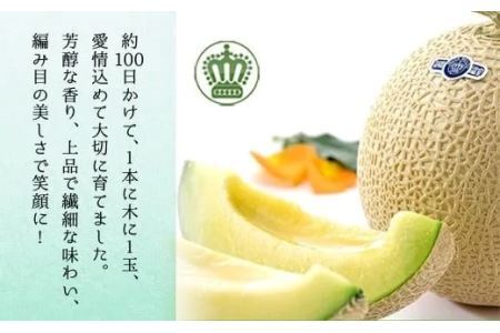【毎月定期便】クラウンメロン 規格外大玉2玉 全6回 6224