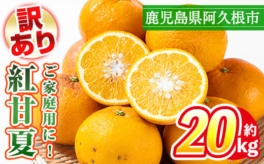 ＜先行予約受付中！2026年3月上旬以降順次発送予定＞訳あり！鹿児島県産まかない紅甘夏(約20kg) 国産 鹿児島産 柑橘 訳アリ 果物 フルーツ 旬 常温保存 紅甘夏 ベニアマナツ 数量限定 期間限定 規格外 デザート 阿久根市産【三笠農業生産】akn051-05