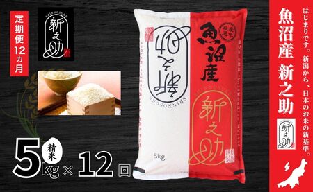 12ヶ月定期便 中魚沼産「新之助(しんのすけ)」5kg 有限会社イタバ |津南町 魚沼 令和7年