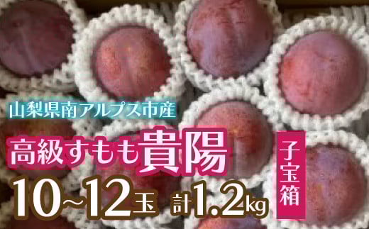 ＜2025年発送分先行予約＞すもも貴陽(子宝箱)10～12玉(計1.2kg) ALPCZ018