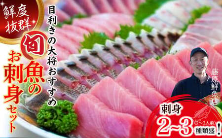 旬な海の幸をお届け！大将のおまかせ刺身2～3種類盛！／Efs-01