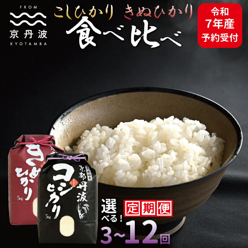 【ふるさと納税】《先行予約》 【定期便】 京丹波こしひかり・きぬひかり 食べ比べセット 10kg 令和7年産 3カ月 6カ月 12カ月 回数 選べる定期便 精米 京都 コシヒカリ キヌヒカリ ※北海道・東北・沖縄・その他離島は配送不可