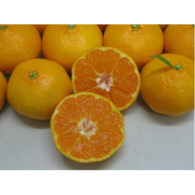 【ふるさと納税】温州みかん(2L～Mサイズ)約2.5kg【配送不可地域：離島・北海道・沖縄県】【1693425】