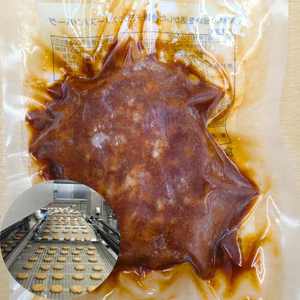 ハンバーグ 特製デミグラスソース ハンバーグ【160g×10個】【冷凍】