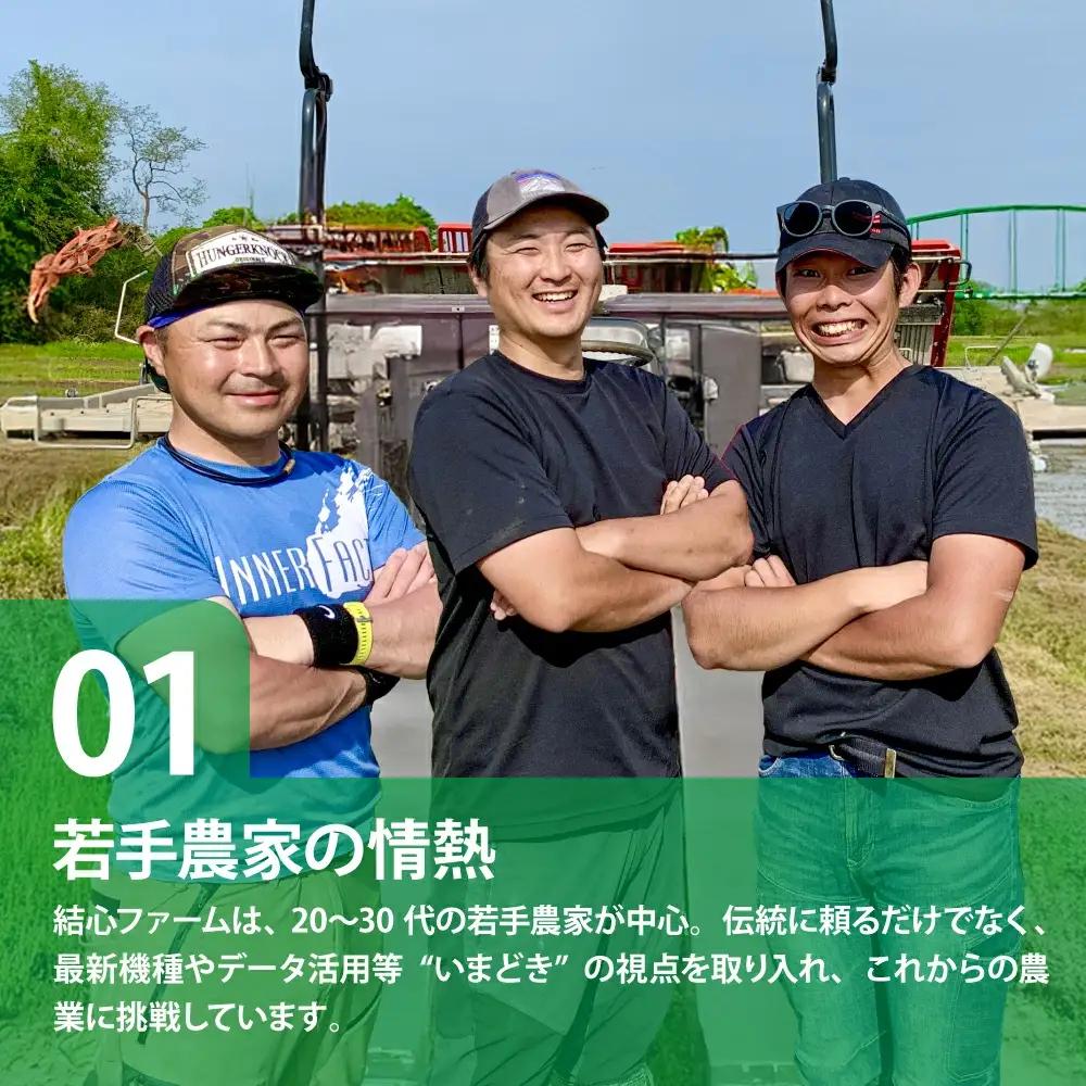 令和8年産 ひとめぼれ 無洗米10kg×5回定期便 ひとめぼれ