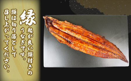 うなぎ蒲焼き 1尾 170g~180g 河野鮮魚店 (蒲焼たれ入) 【D015-177002】