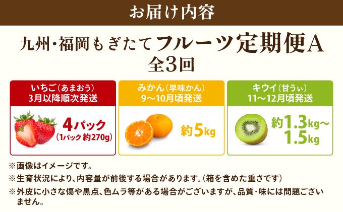 ＜定期便・全3回＞九州・福岡もぎたて フルーツ定期便 A