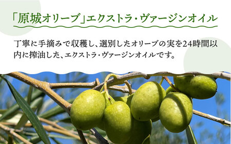【2024年11月〜発送】【6回定期便】 原城 オリーブ エクストラ・ヴァージンオイル  100ml 3本 / オリーブオイル オイル 油 調味料 / 南島原市 / ミナサポ[SCW058]