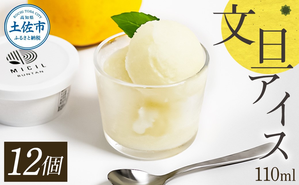 
            文旦アイス 12個入り 1個110ml ブンタン ぶんたん フルーツ 果物 柑橘 みかん お菓子 おかし おやつ デザート スイーツ ギフト おいしい 爽やか シャーベット お取り寄せ 冷凍 配送
          