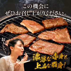 【美味しい宮崎牛専門店ミヤチクからお届け】A4等級以上 宮崎牛 訳あり 焼肉 バラエティパック おためし500g（宮崎牛 ブランド牛 黒毛和牛 牛肉 焼肉用 内閣総理大臣賞）
